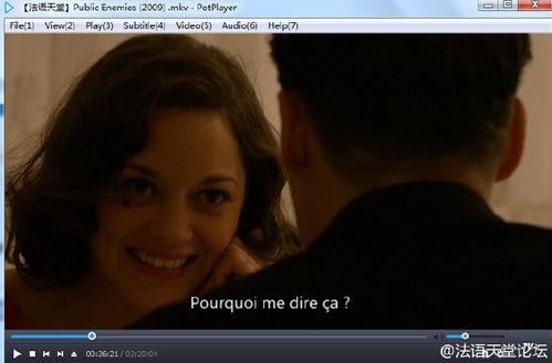 Public Enemies在线观看,犯罪帝国，激战正酣